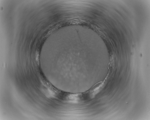 X0000087410178200705111900