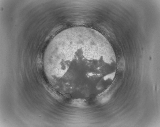 X0000087410179200705111900