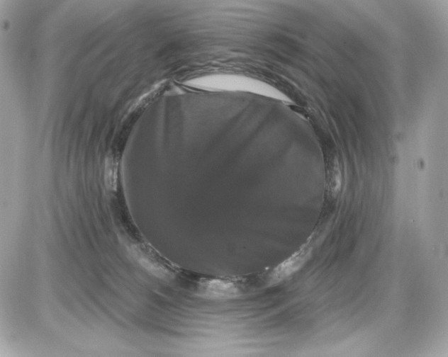 X0000087410180200705111900