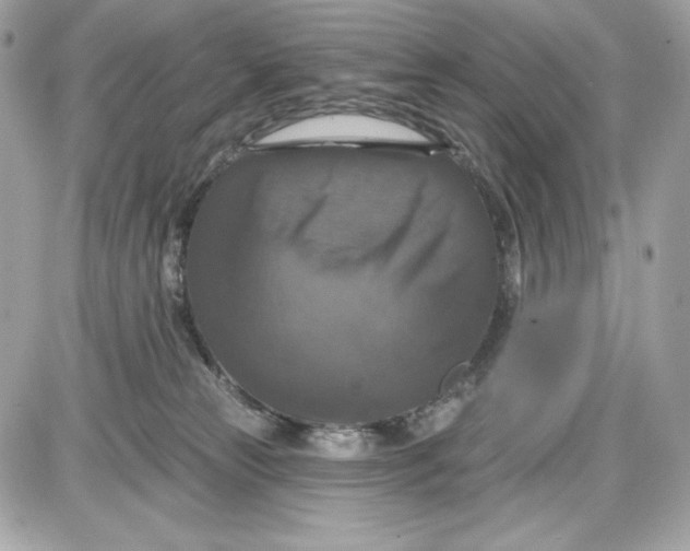 X0000087410181200705111900