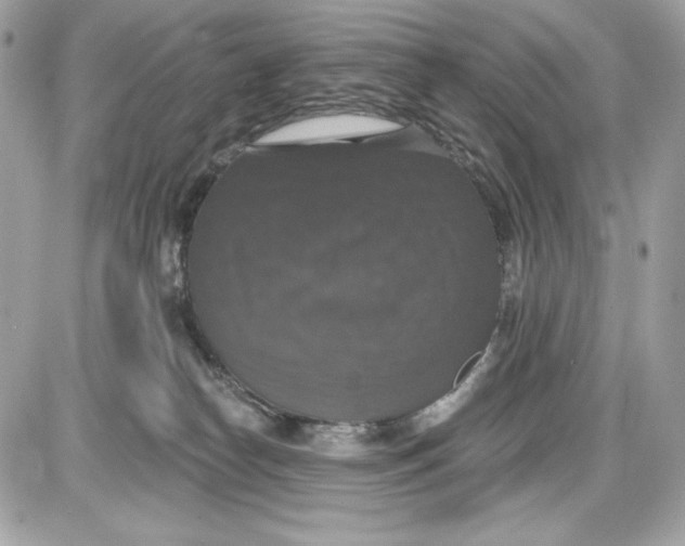 X0000087410182200705111900