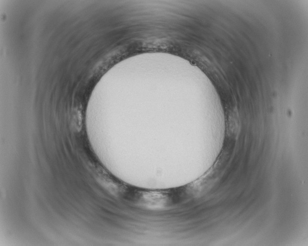 X0000087410183200705111900