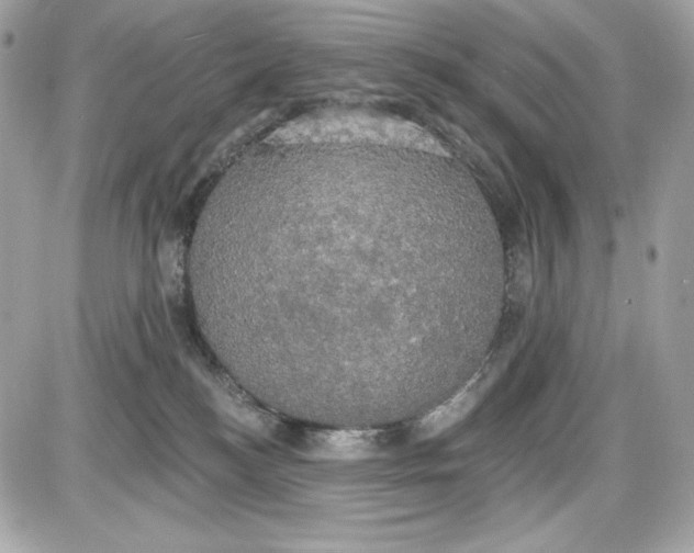 X0000087410184200705111900