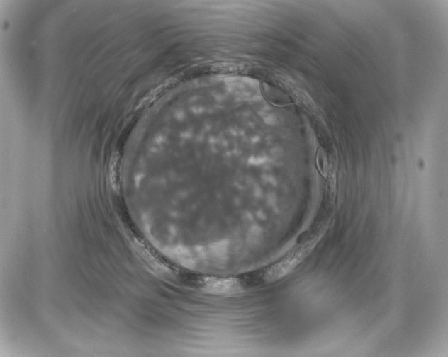 X0000087410185200705111900