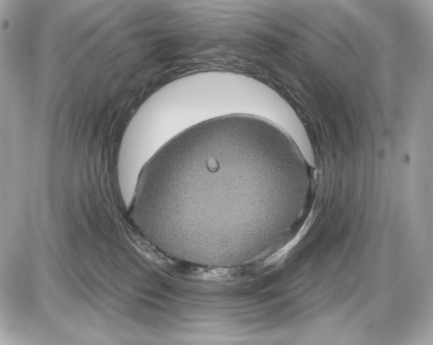 X0000087410186200705111900