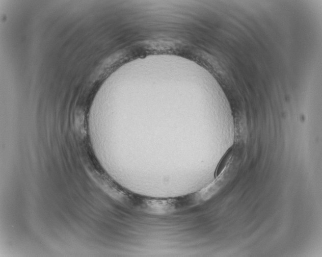 X0000087410187200705111900