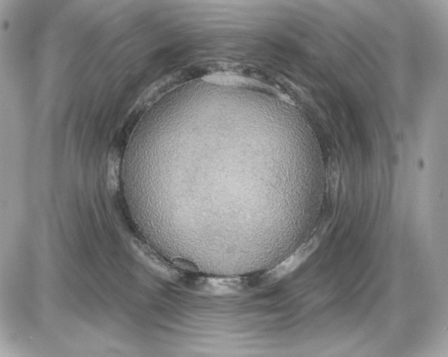 X0000087410188200705111900