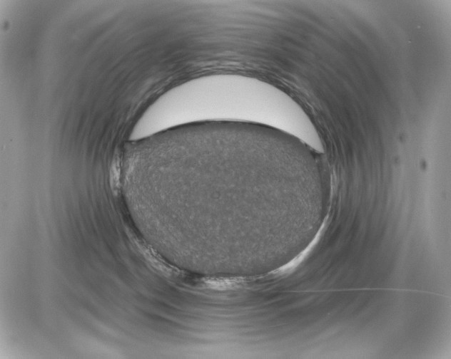 X0000087410190200705111900