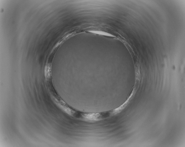 X0000087410191200705111900