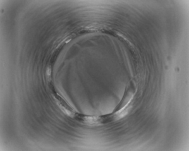 X0000087410192200705111900