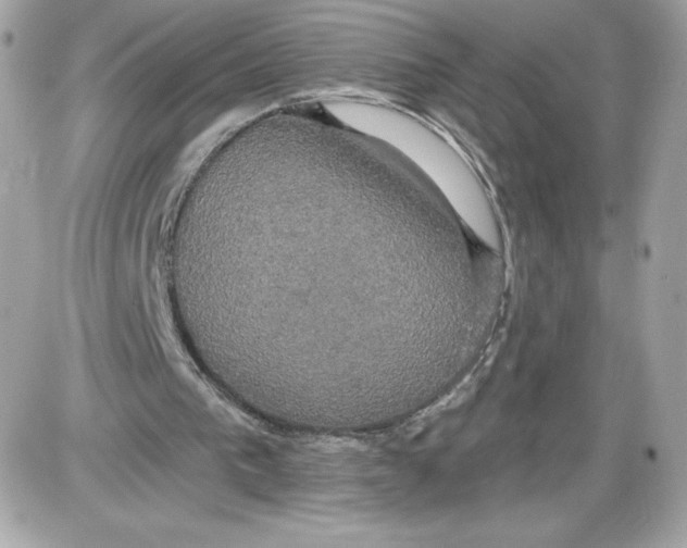 X0000087410193200705111900