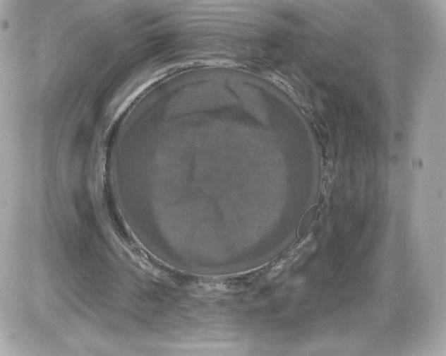 X0000087410194200705111900