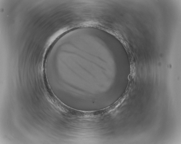 X0000087410196200705111900