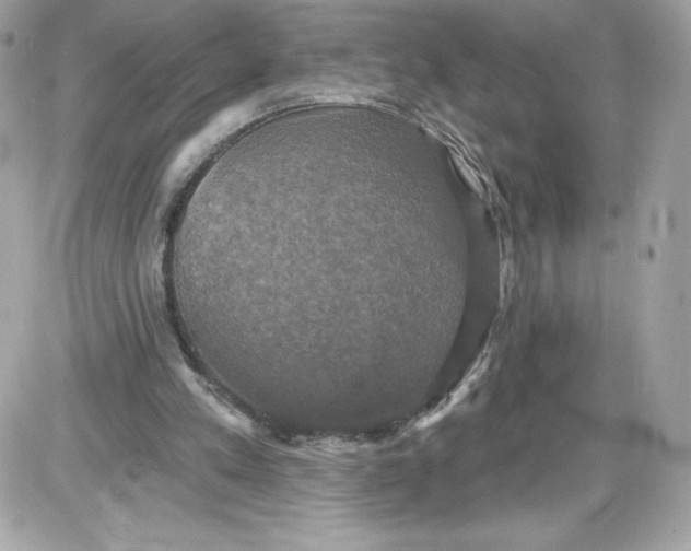 X0000087410197200705111900