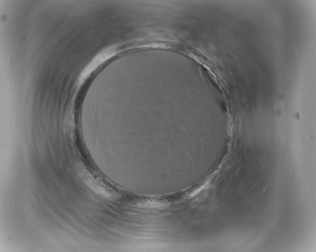 X0000087410198200705111900