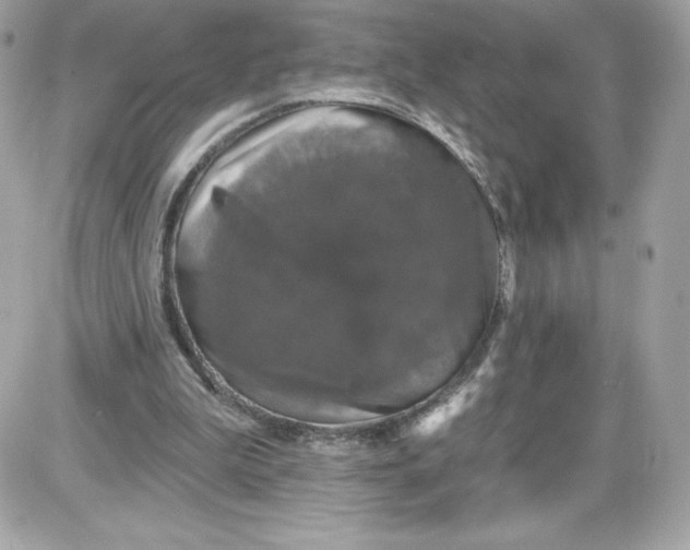 X0000087410199200705111900