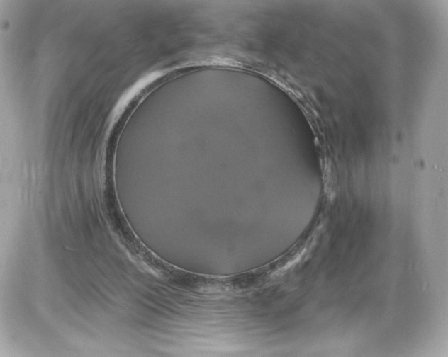 X0000087410200200705111859