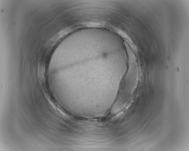 X0000087410201200705111859