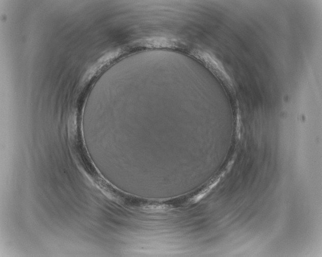 X0000087410202200705111859