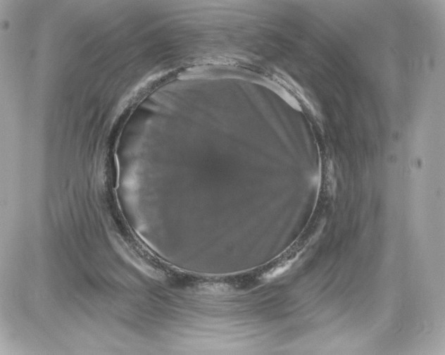 X0000087410203200705111859