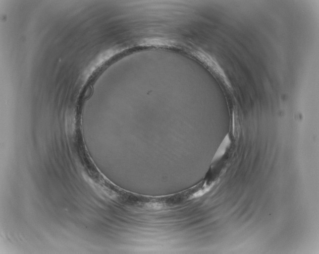 X0000087410204200705111859