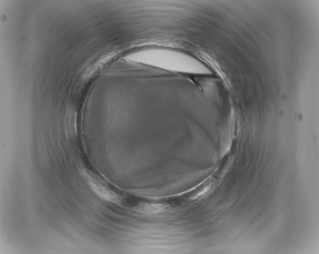 X0000087410205200705111859