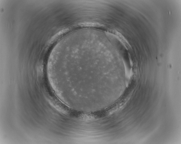 X0000087410207200705111859