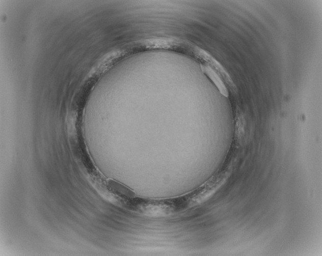 X0000087410209200705111859