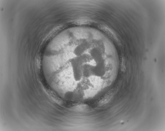 X0000087410210200705111859