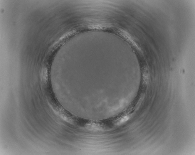 X0000087410211200705111859