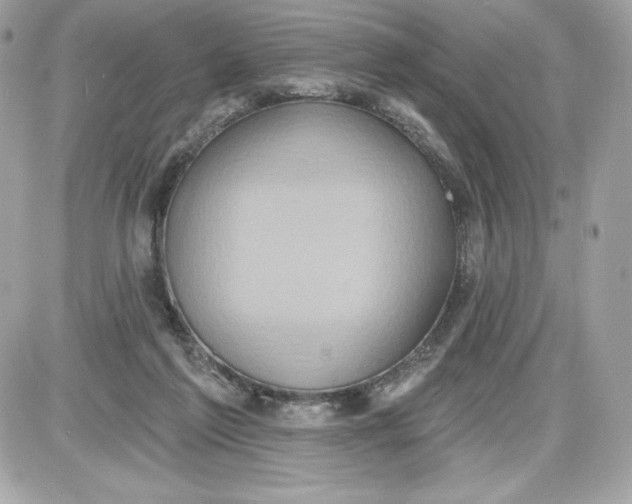 X0000087410213200705111859