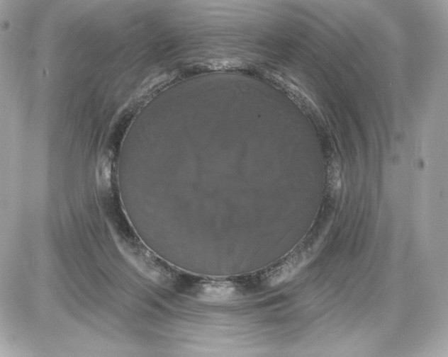 X0000087410214200705111859