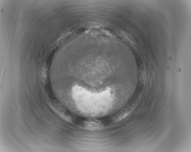 X0000087410215200705111859