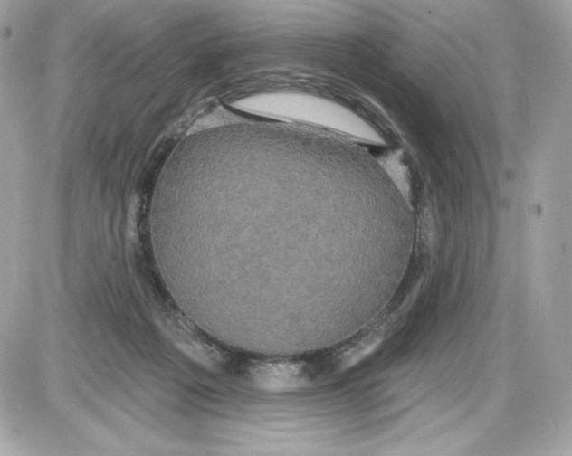 X0000087410217200705111859