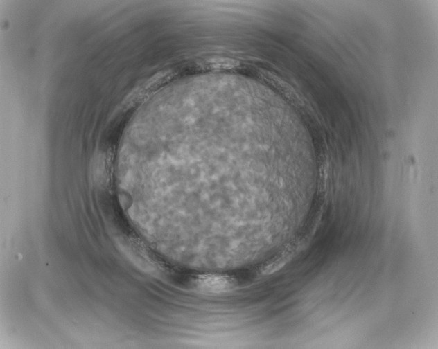 X0000087410218200705111859