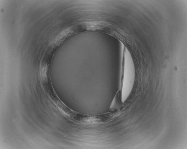 X0000087410219200705111859