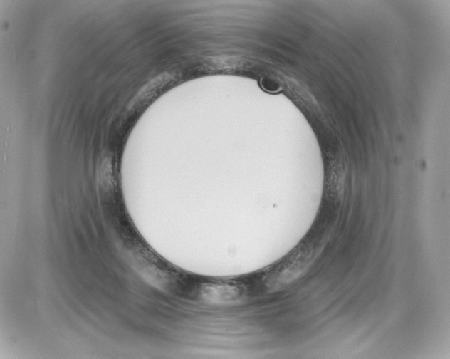 X0000087410220200705111859