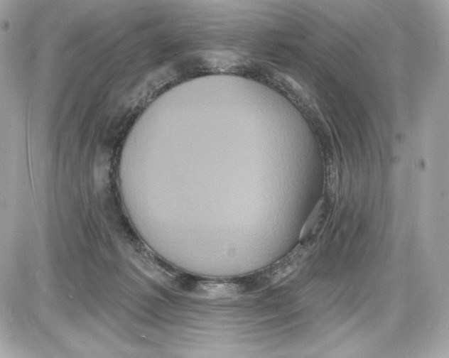 X0000087410221200705111859