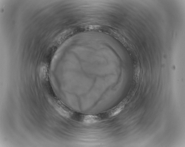 X0000087410222200705111859