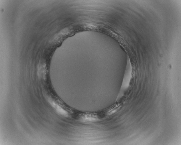 X0000087410223200705111859