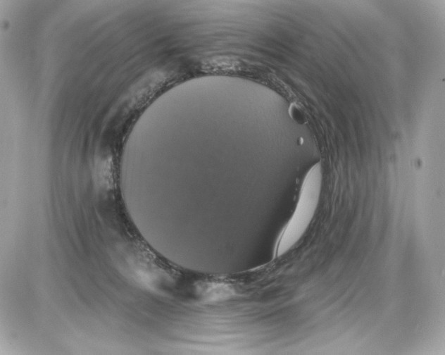 X0000087410224200705111859