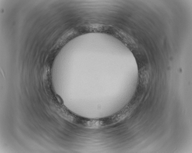 X0000087410225200705111859