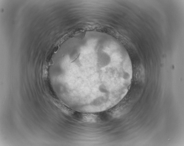 X0000087410226200705111859