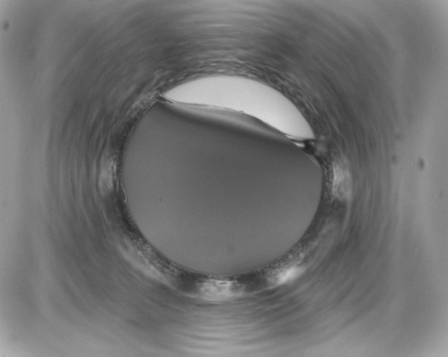 X0000087410227200705111859