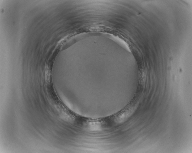 X0000087410228200705111859