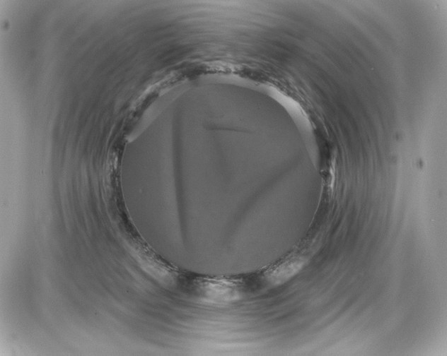 X0000087410229200705111859