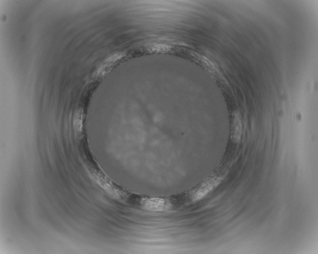 X0000087410230200705111859