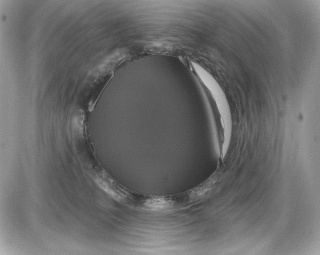 X0000087410231200705111859