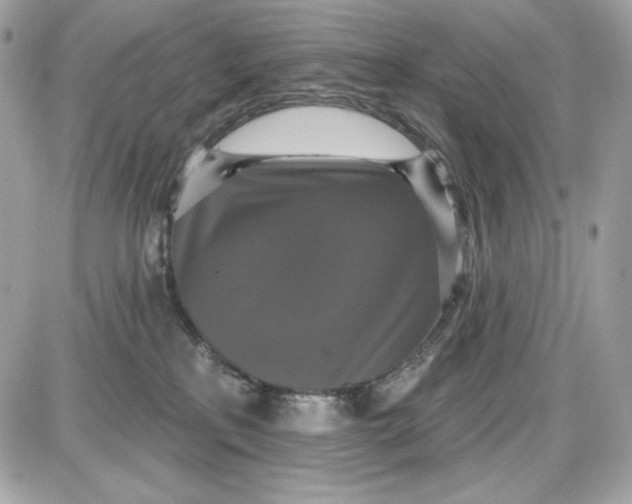 X0000087410233200705111859