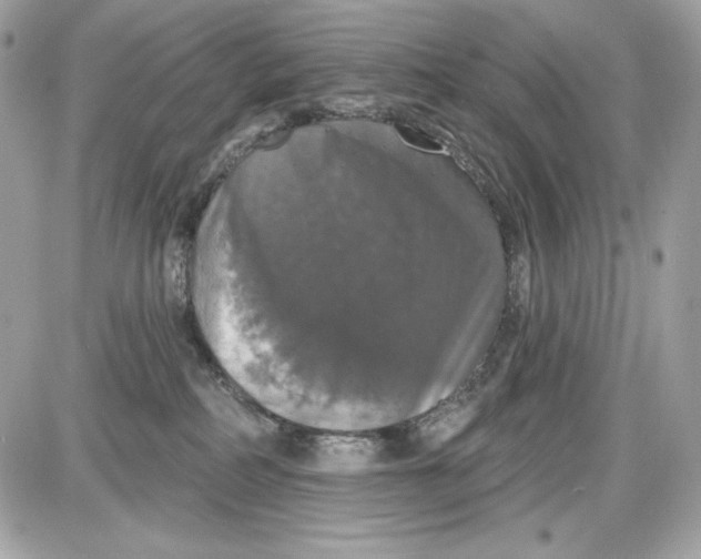 X0000087410234200705111859